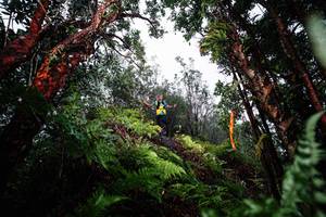 BIB: 
                            <button type="button" onclick="openModal(26205565)" class="btn btn-primary btn-sm float-right btn-popup" data-toggle="modal" data-target=".modal-high-quality">
                        <i class="fas fa-shopping-cart"></i> Add to Cart
                    </button>
                                            <button type="button" onclick="isThisMe(26205565, true)" class="btn btn-success btn-sm float-right btn-popup btn-isme hidden" data-toggle="tooltip" data-placement="bottom" title="นี่คือรูปของคุณใช่ไหม คลิกที่นี่เพื่อเอาเข้าอัลบั้ม">
                        <i class="fas fa-plus"></i> Add to album
                    </button>
                    <button type="button" onclick="isThisMe(26205565, false)" class="btn btn-warning btn-sm float-right btn-popup btn-isnotme hidden">
                        <i class="fas fa-ban"></i> Remove from album
                    </button>